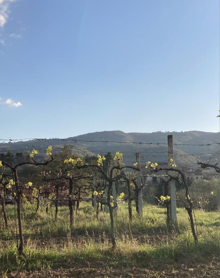 Un Posto Bed & Breakfast Bevagna ภายนอก รูปภาพ